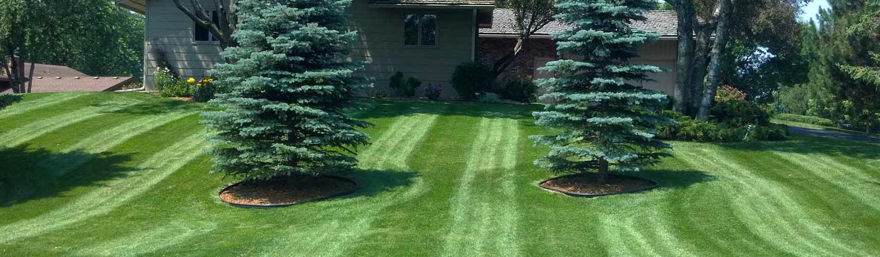 Saint Paul Lawn Care Services, Landscaping Company and Lawn Mowing Service
